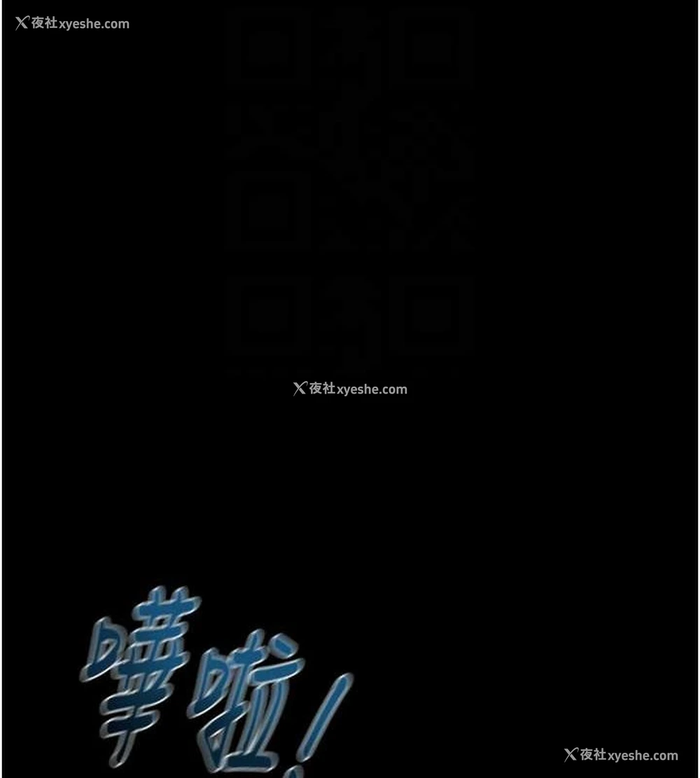 17P - 掠夺行动