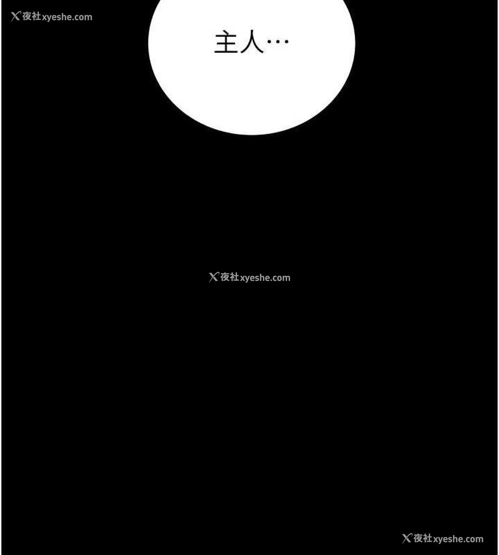 199P - 掠夺行动