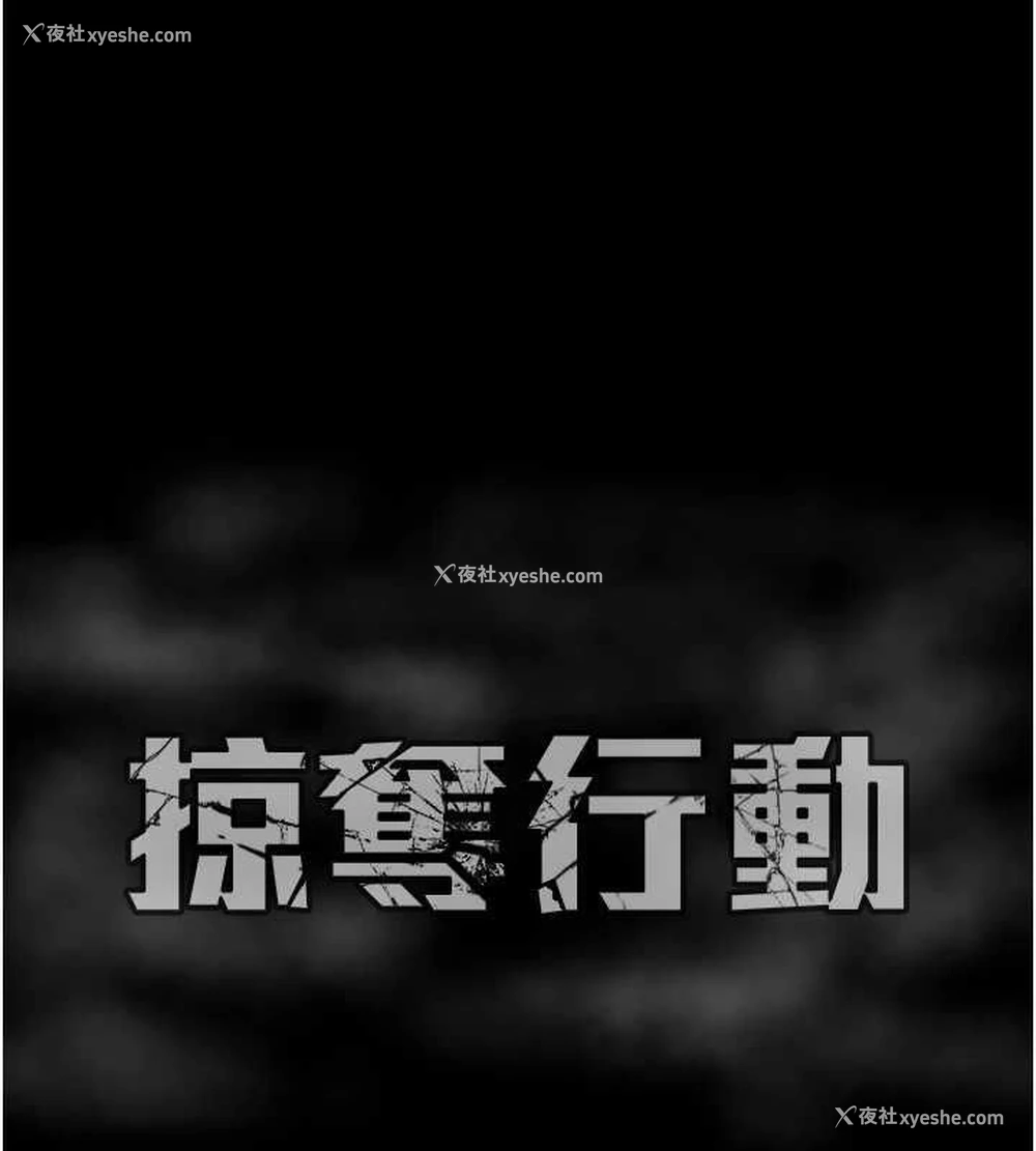 212P - 掠夺行动