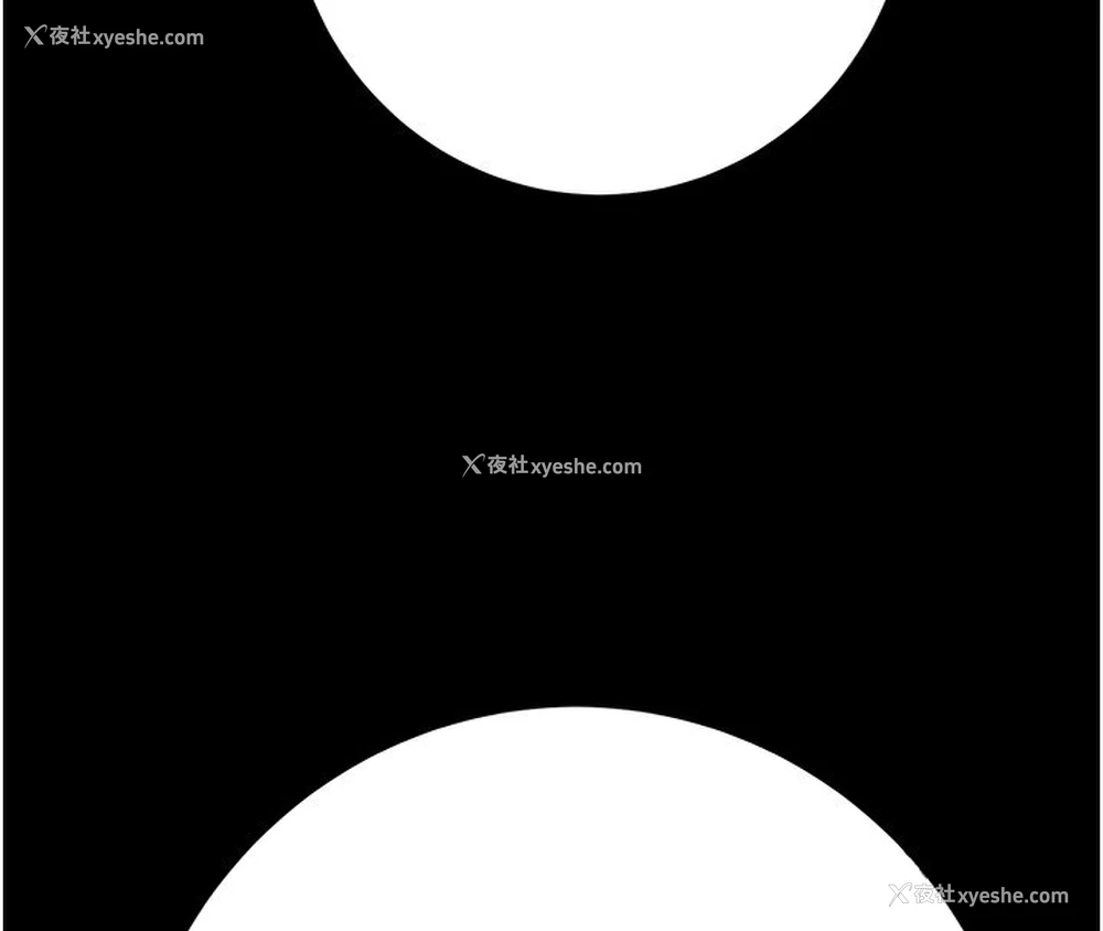 163P - 掠夺行动