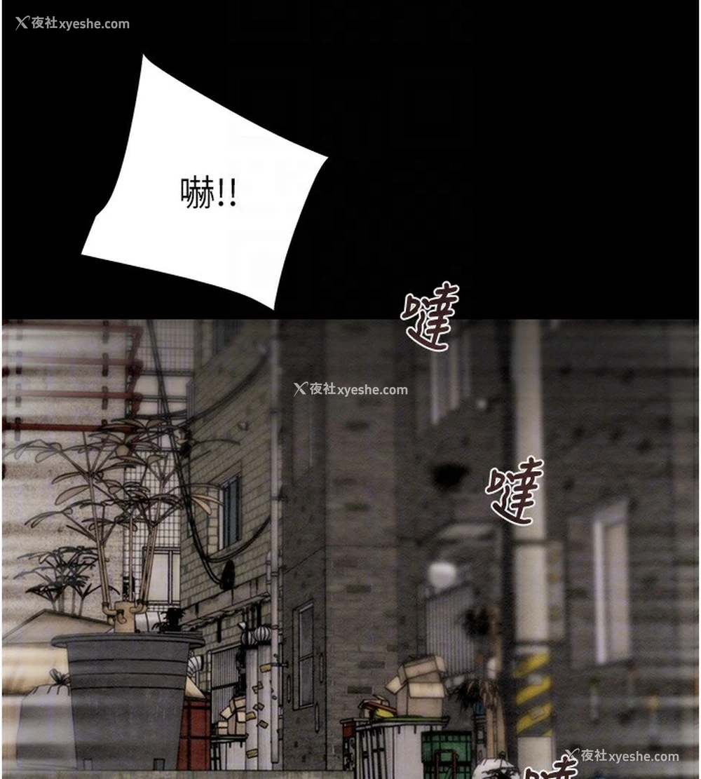 109P - 掠夺行动
