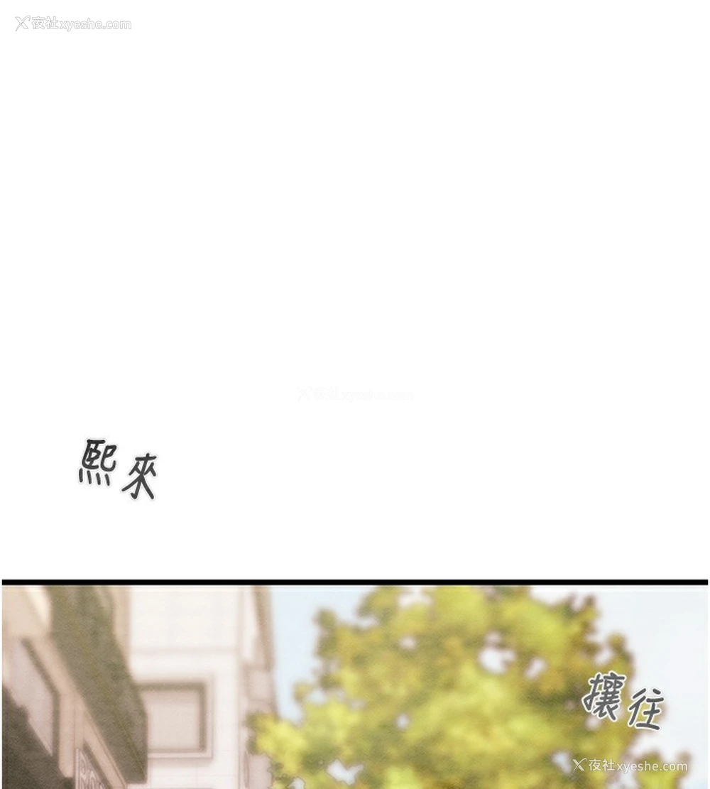 257P - 掠夺行动
