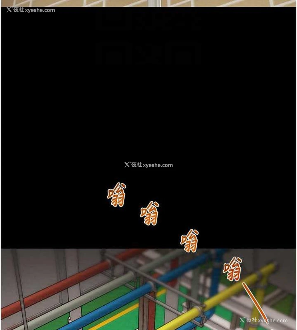 110P - 掠夺行动