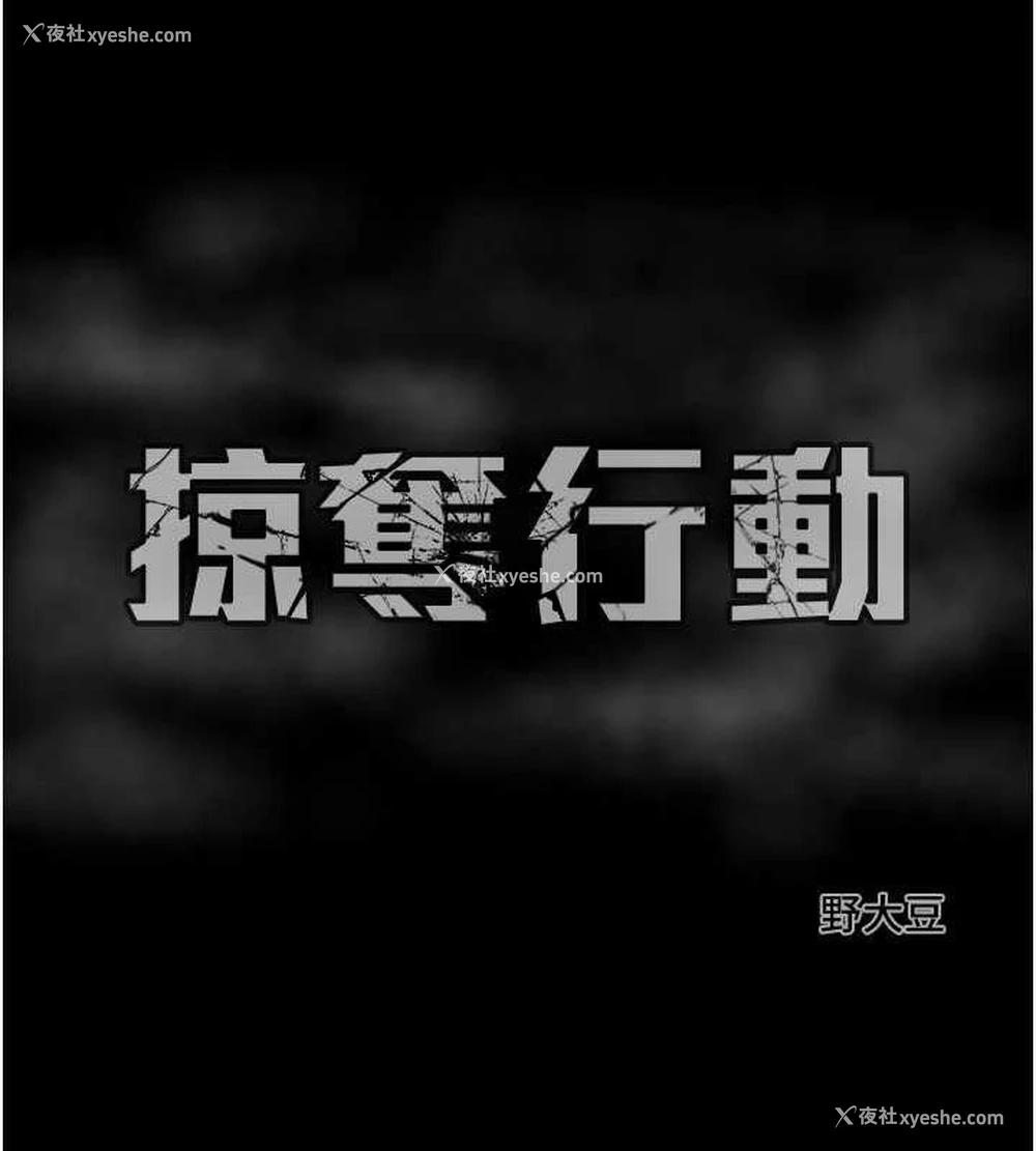 230P - 掠夺行动
