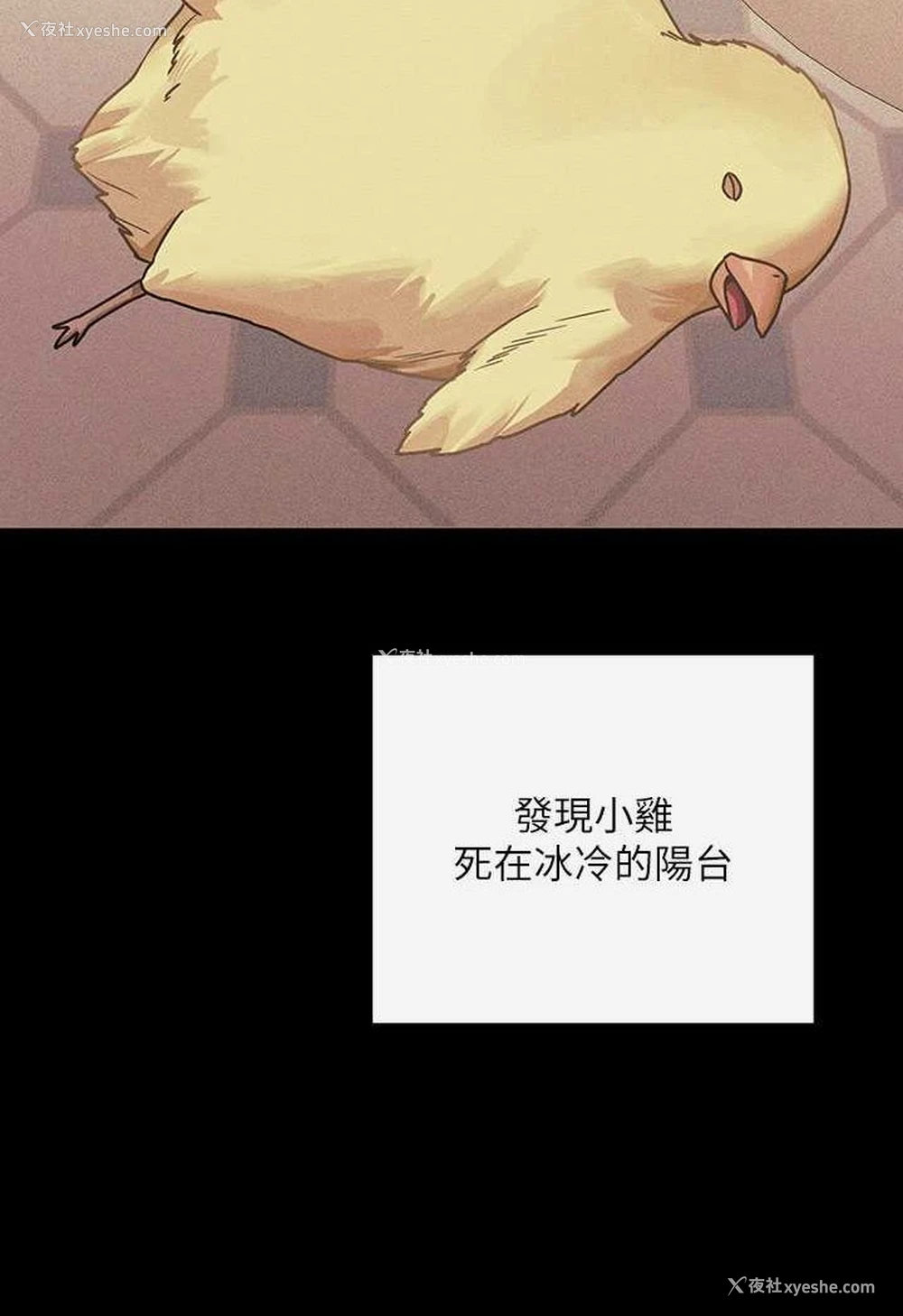 3P - 富家女姐姐
