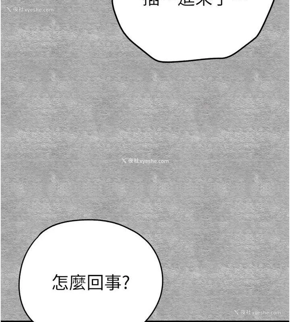 178P - 初次深交，请多指教