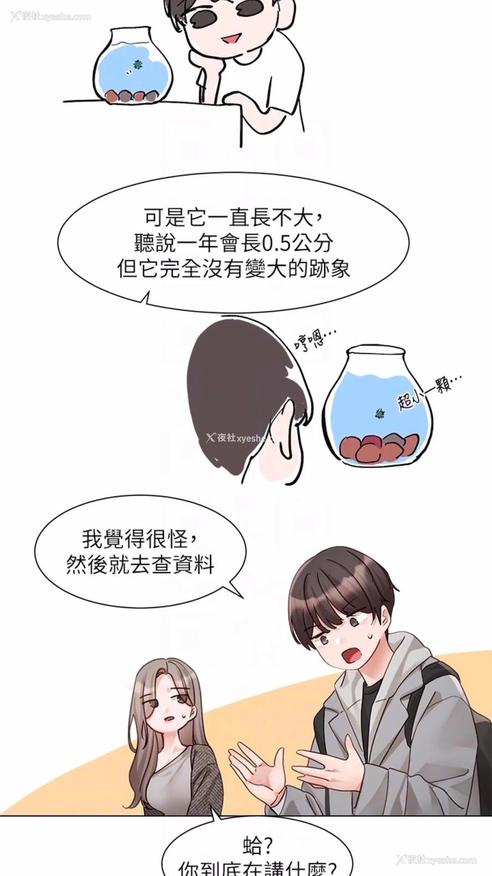 35P - 社团学姐