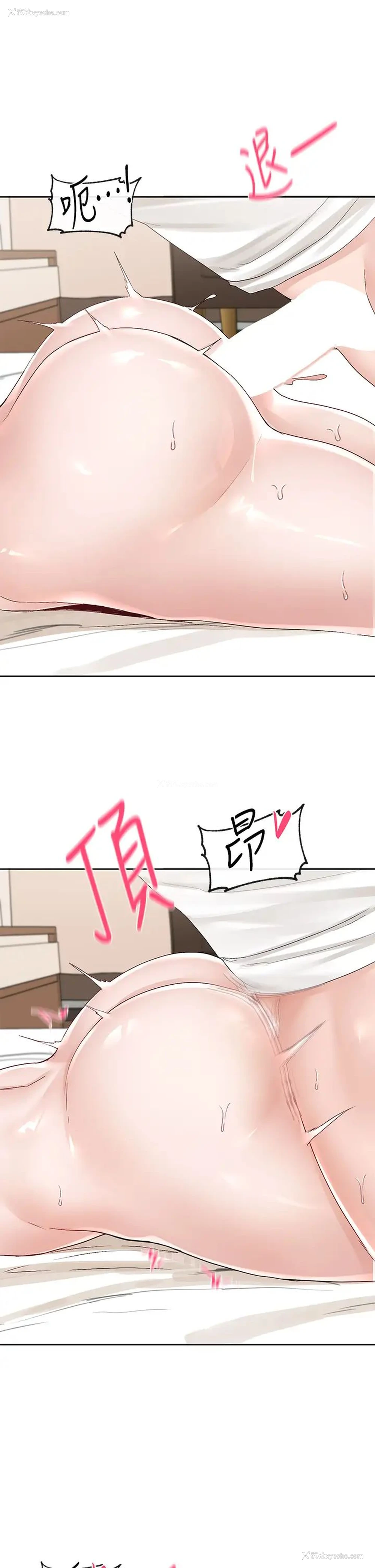 31P - 社团学姐
