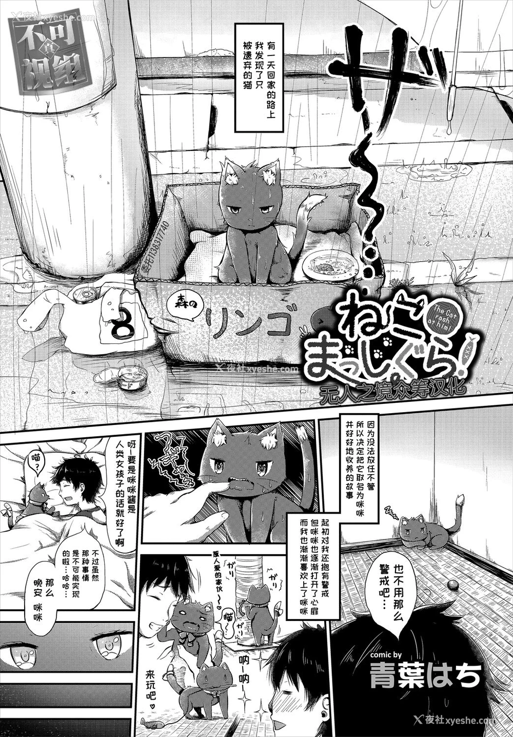 1P - [青叶はち] ねこまっしぐら! (ケダモノ娘フレンズ その2) [中国翻訳]