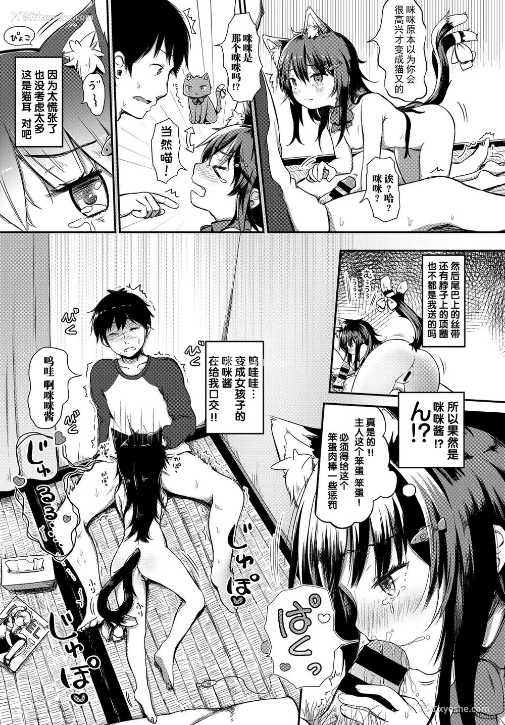 3P - [青叶はち] ねこまっしぐら! (ケダモノ娘フレンズ その2) [中国翻訳]