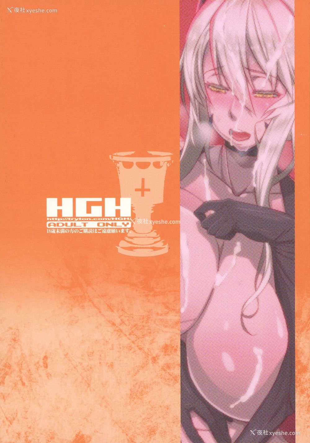 2P - (C92) [HGH (HG茶川)] HGUC#10 仆のアルトリアを绍介する本 (Fate/Grand Order) [中国翻訳]