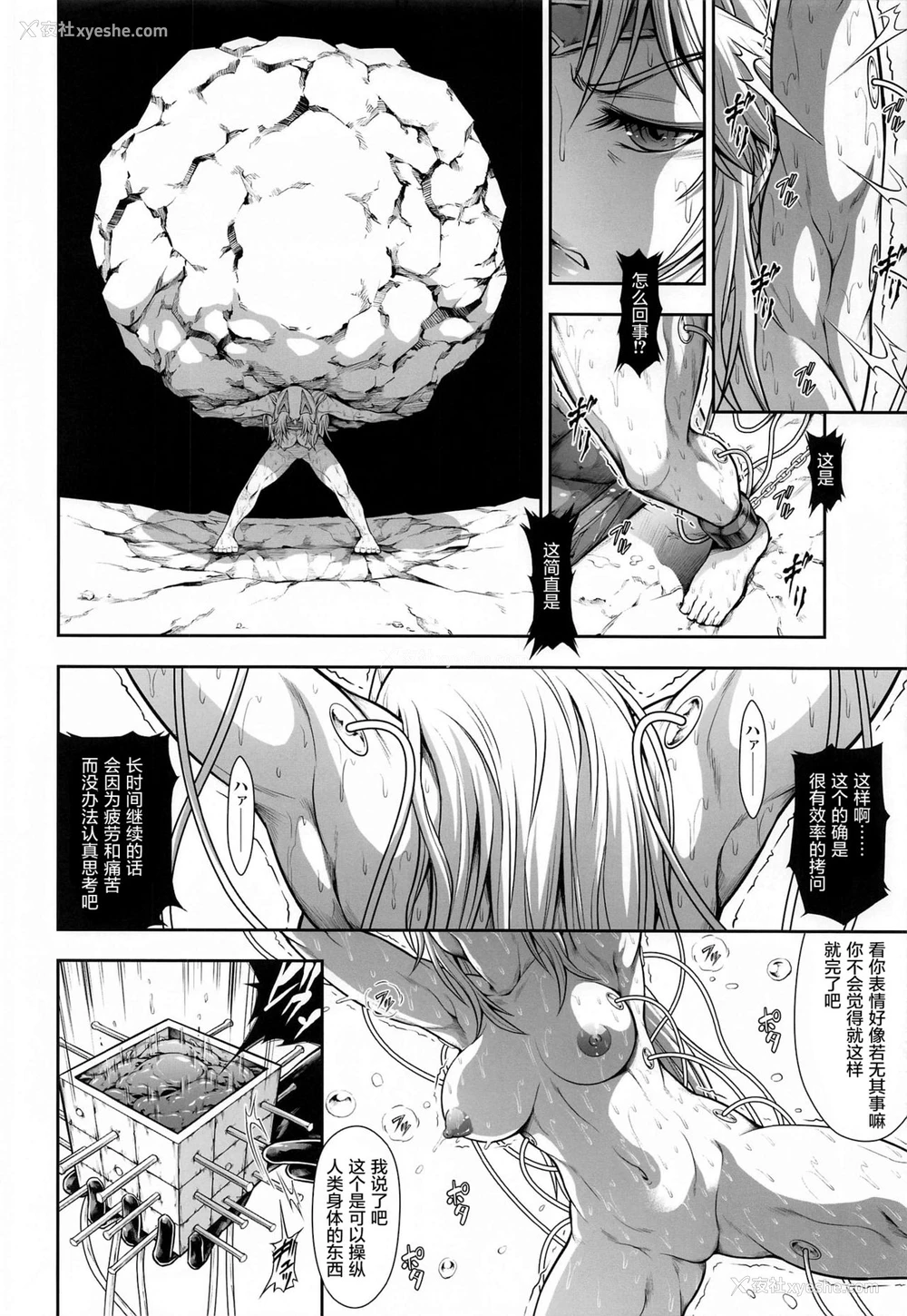 11P - [Yokohama Junky (魔狩十织)] ソロハンターの生态 WORLD 4 (モンスターハンター) [中国翻訳]