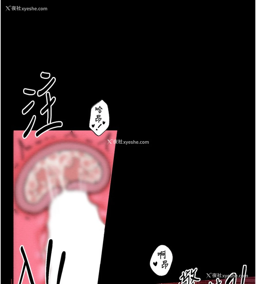 146P - 最强家丁
