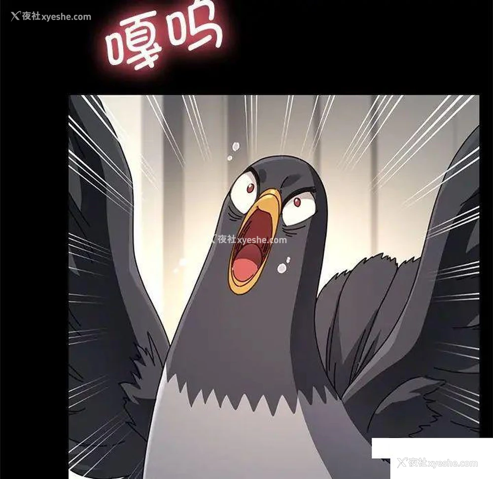 26P - 我家的赘婿大人