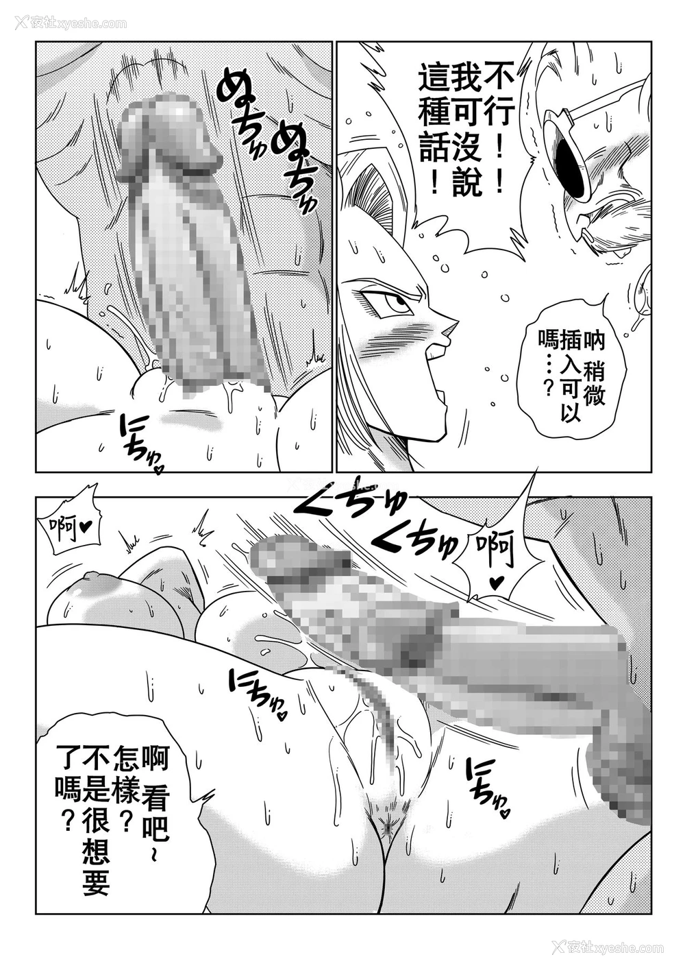 13P - [山本同人] 18号VS亀○人 (ドラゴンボールZ) [中国翻訳]