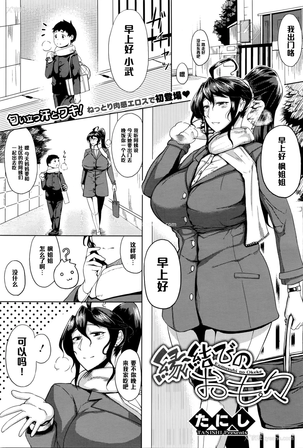 1P - [たにし] 縁结びのお毛々 (コミックメガストアα 2016年3月号) [中国翻訳]