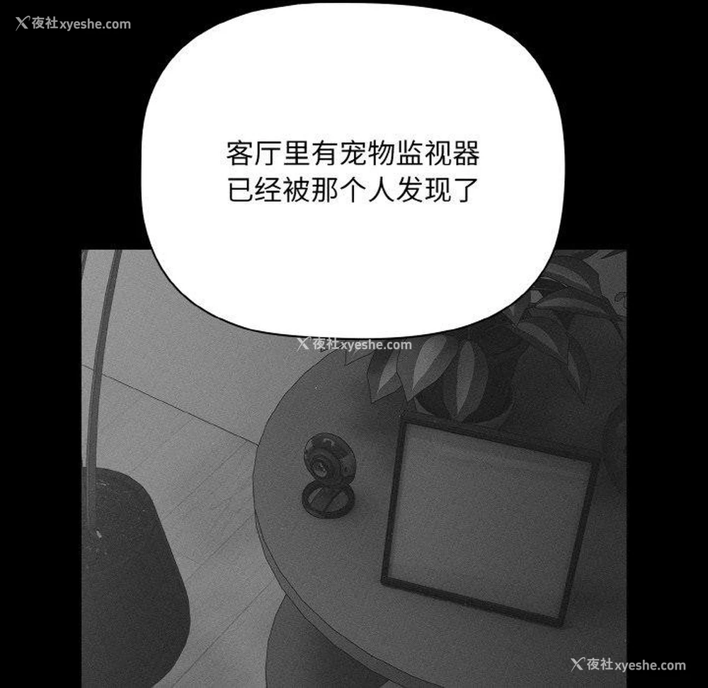 78P - 幸福来得太突然