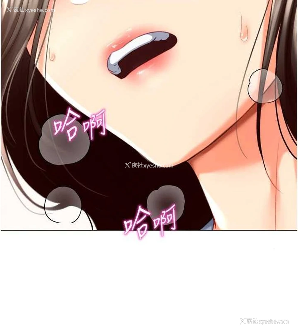 31P - 猎爱转蛋机