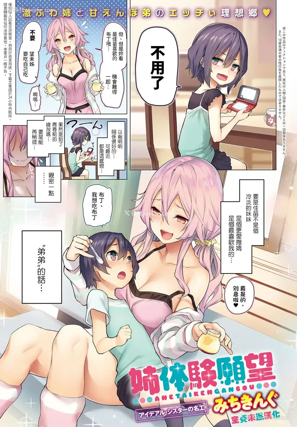 2P - [みちきんぐ] 姉体験愿望 (COMIC アンスリウム 2017年2月号) [中国翻訳] [DL版]