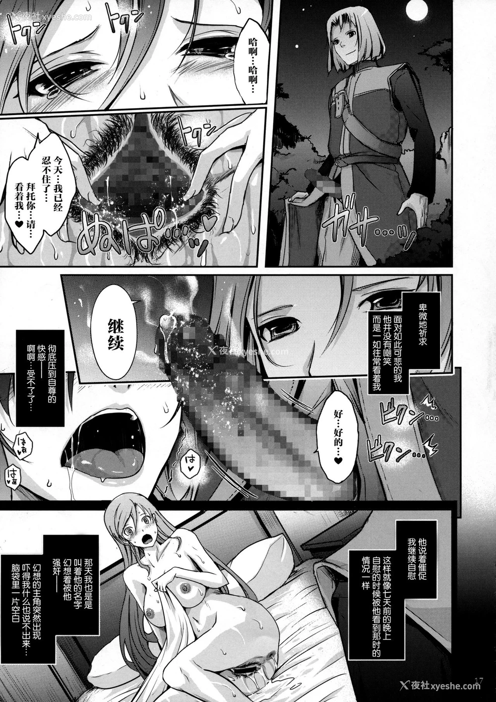 17P - (C95) [我流痴帯 (TANA)] 勇者が娼姫を买った理由II (ドラゴンクエストXI) [中国翻訳]