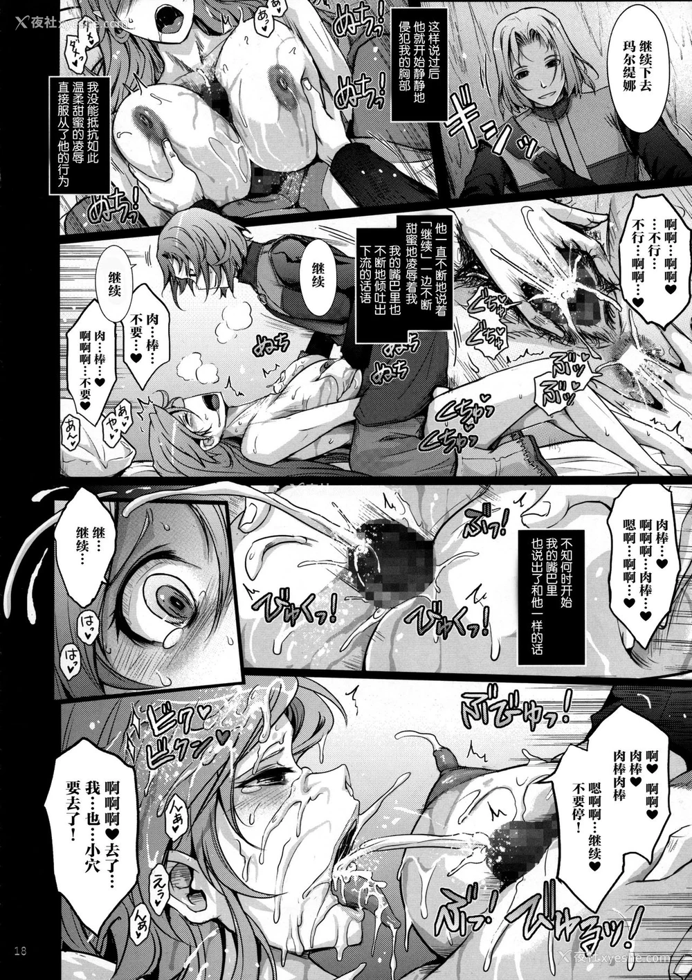 18P - (C95) [我流痴帯 (TANA)] 勇者が娼姫を买った理由II (ドラゴンクエストXI) [中国翻訳]