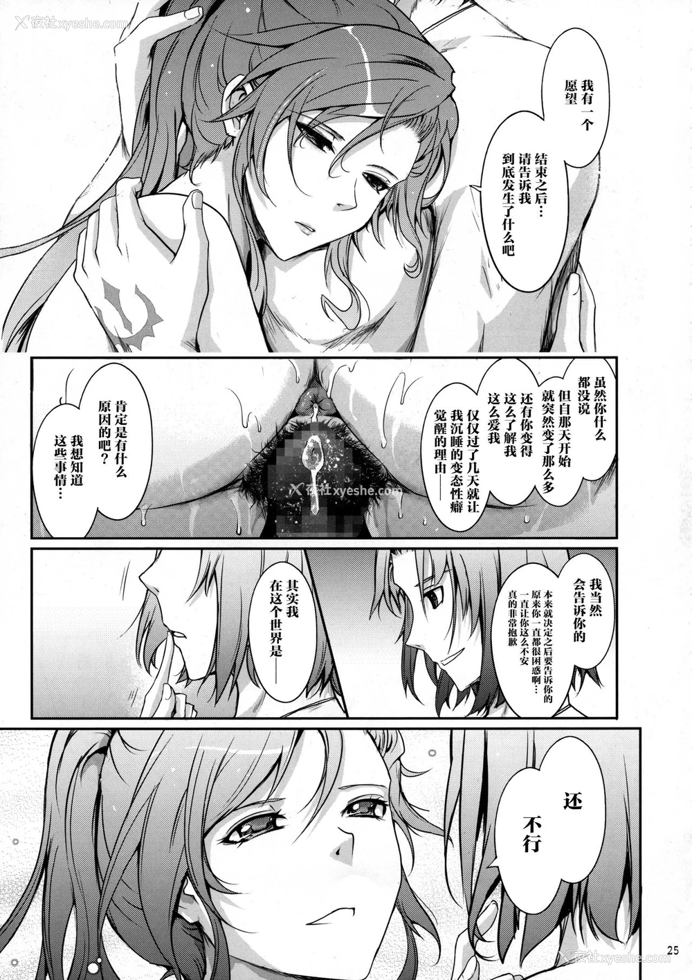 25P - (C95) [我流痴帯 (TANA)] 勇者が娼姫を买った理由II (ドラゴンクエストXI) [中国翻訳]