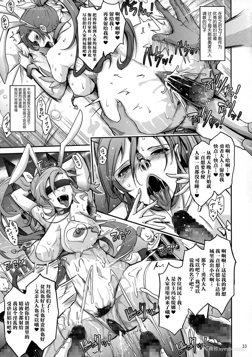 33P - (C95) [我流痴帯 (TANA)] 勇者が娼姫を买った理由II (ドラゴンクエストXI) [中国翻訳]