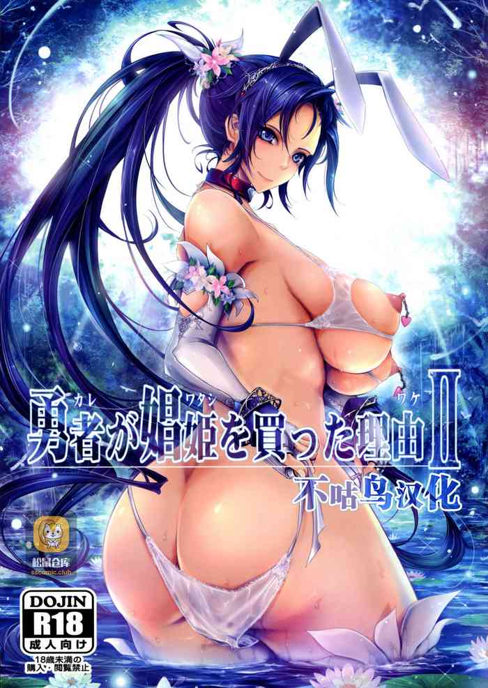 (C95) [我流痴帯 (TANA)] 勇者が娼姫を买った理由II (ドラゴンクエストXI) [中国翻訳]