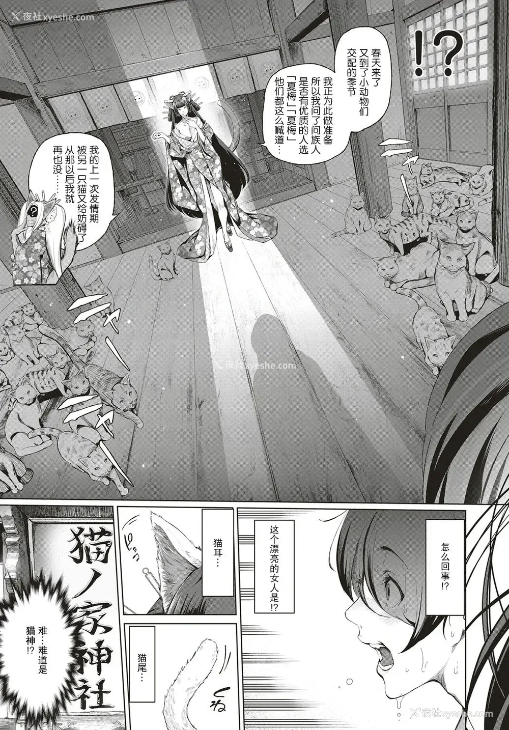 4P - [すずはねすず] ボーイミーツにゃーゴッド 第1话 (コミック エグゼ 04) [中国翻訳] [DL版]