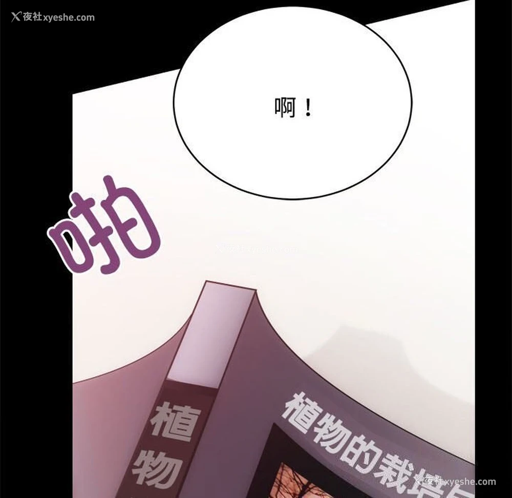 81P - 房产姐妹花