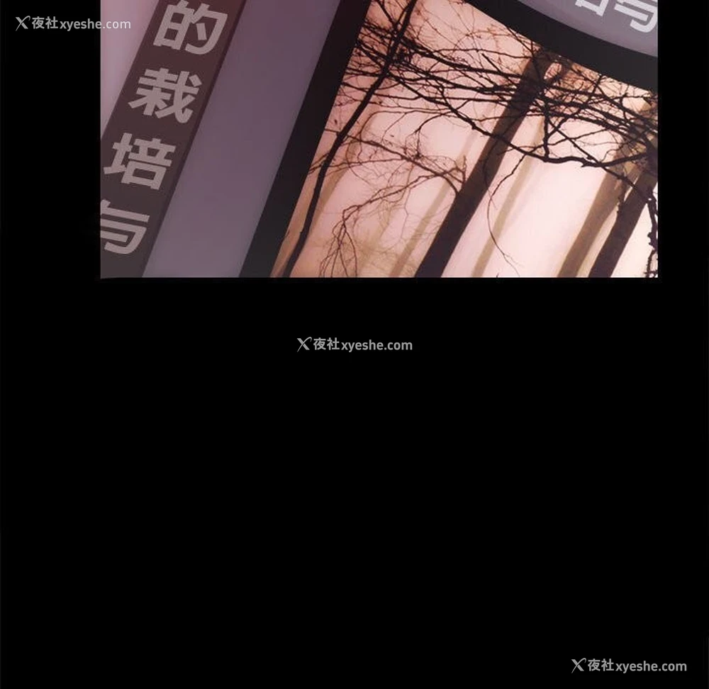 82P - 房产姐妹花