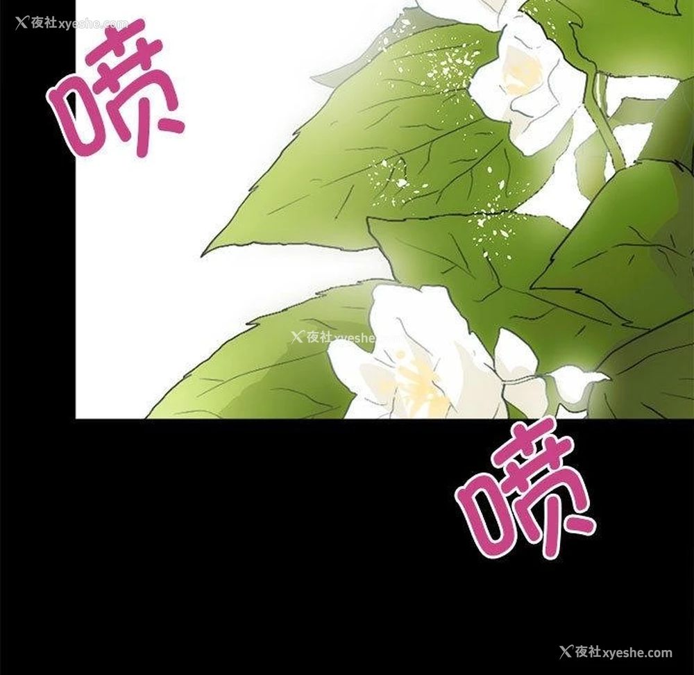 28P - 房产姐妹花