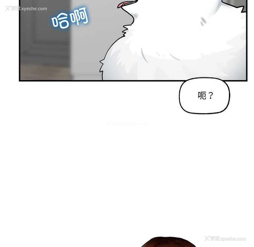 10P - 催眠手机