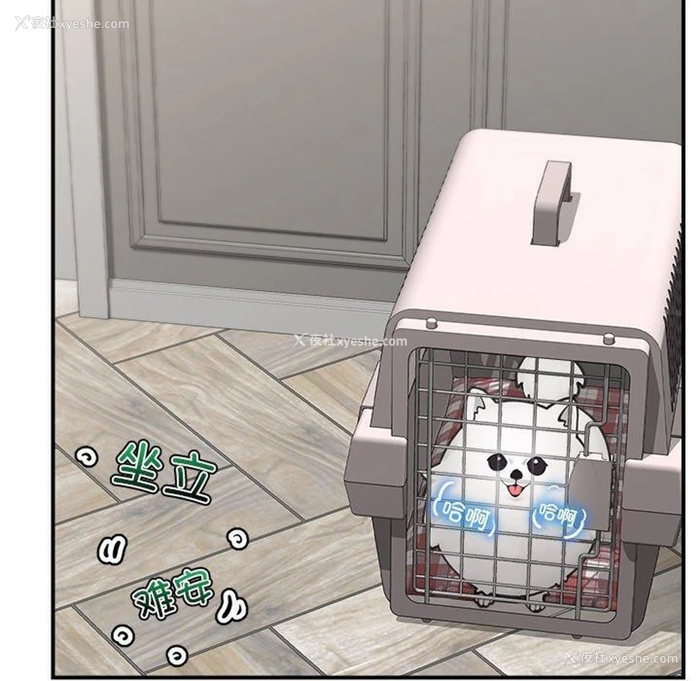 20P - 催眠手机