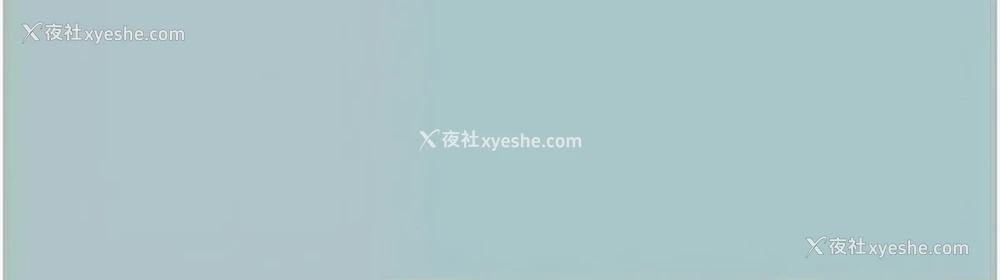 12P - 进击的巨根