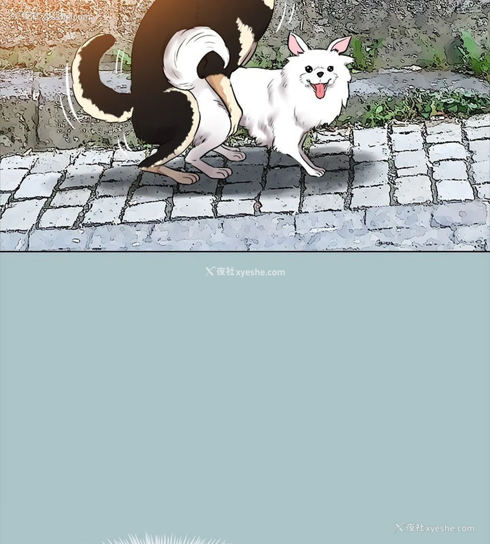 29P - 进击的巨根