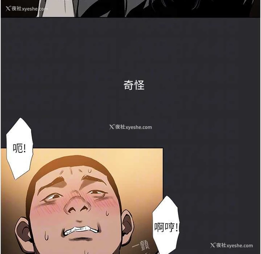 82P - 进击的巨根
