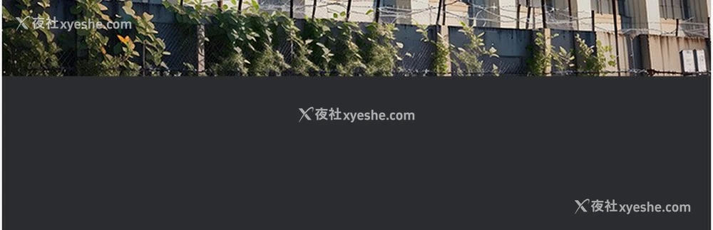 10P - 进击的巨根