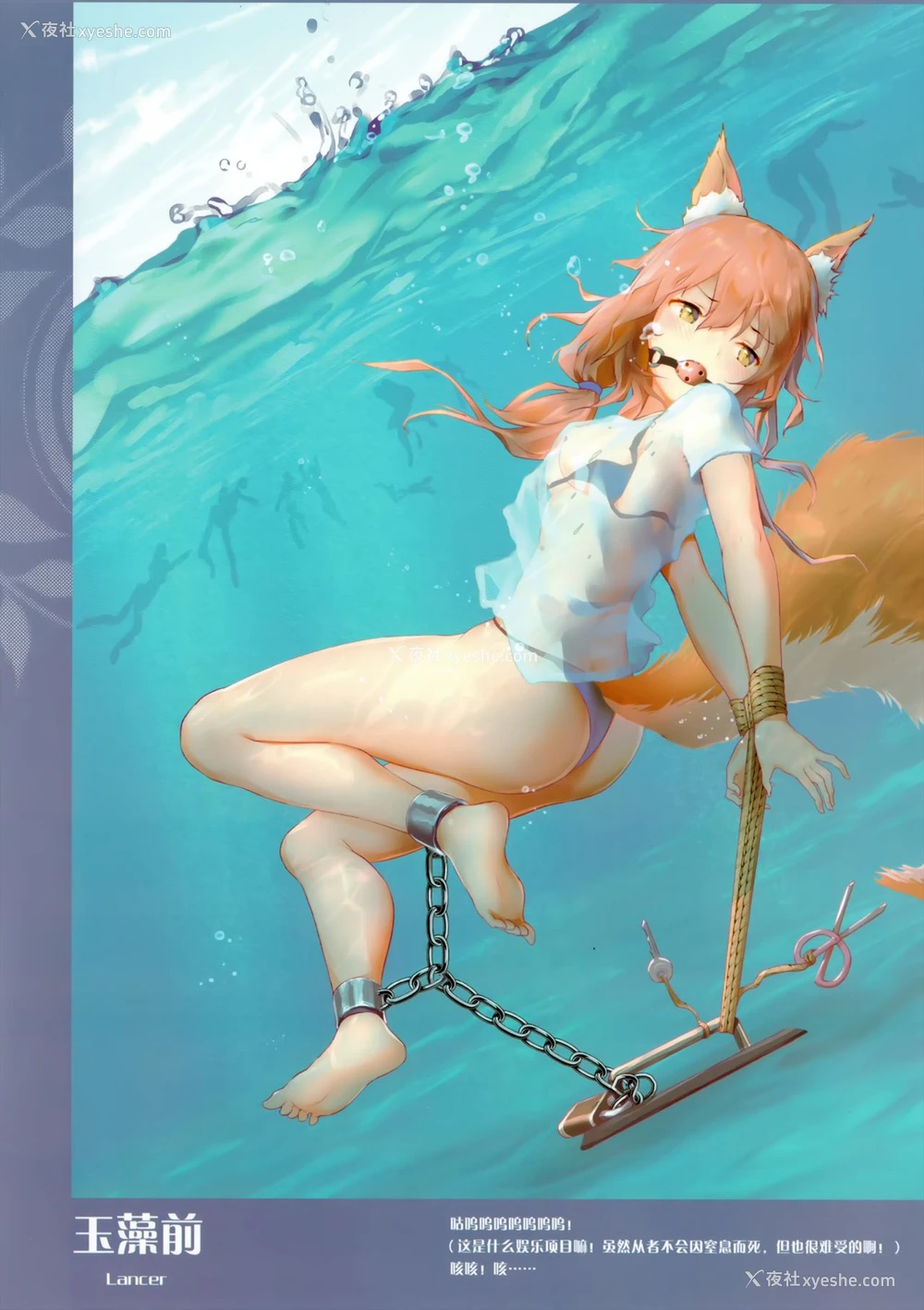 3P - [Akari (Himitsu)] カルデアの縄祭り (Fate/Grand Order) [中国语]