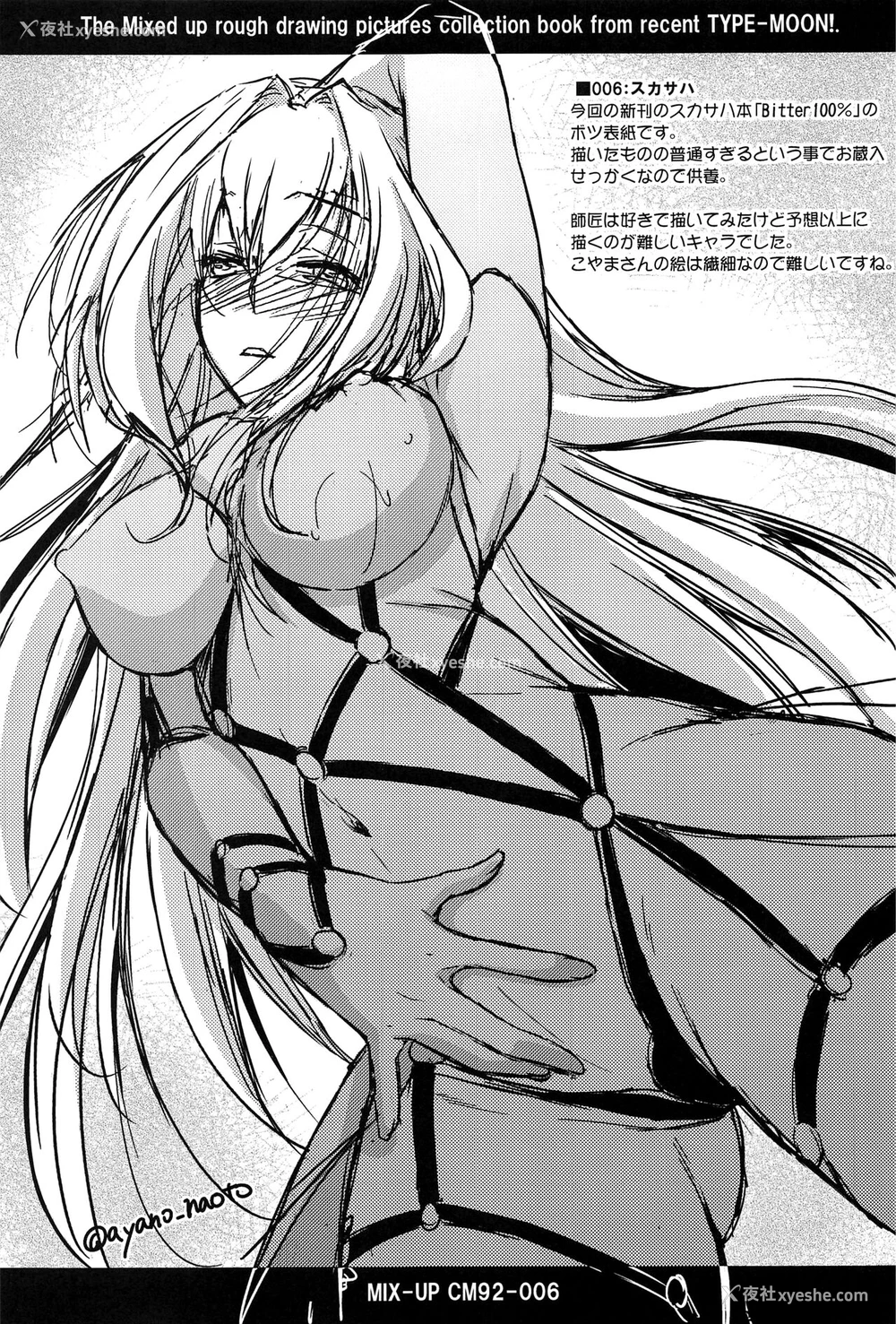 27P - (C99) [怪奇日蚀 (绫野なおと)] Purple haze (Fate/Grand Order) [中国翻訳]