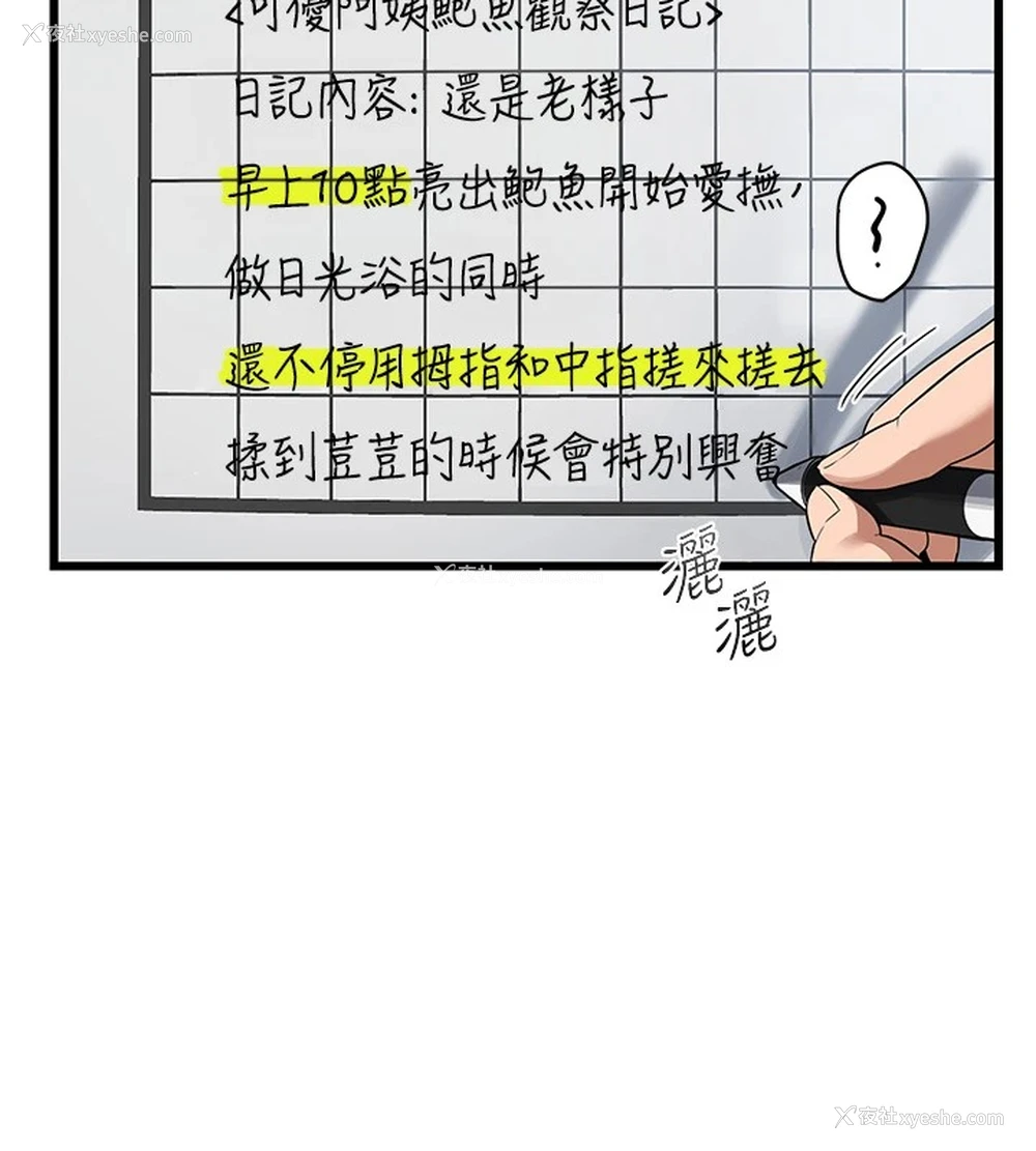 54P - 熟女计划书