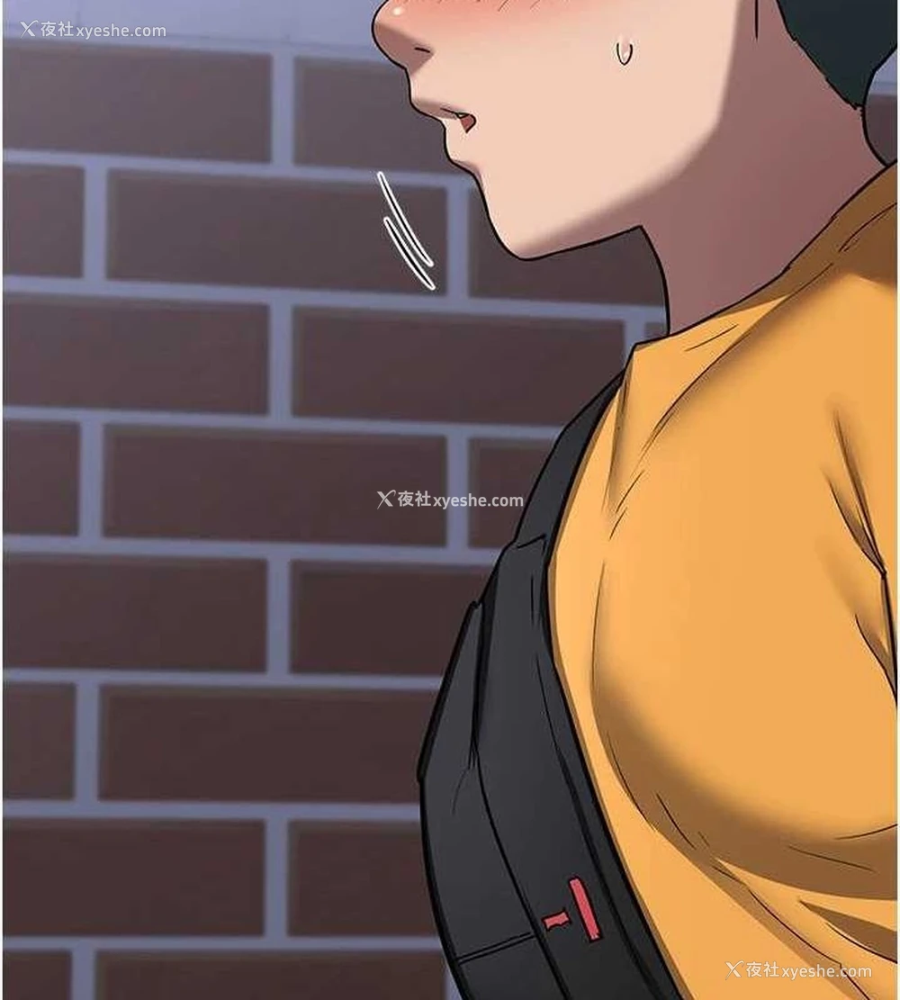 155P - 熟女计划书