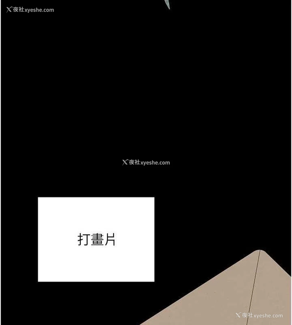 20P - 熟女计划书