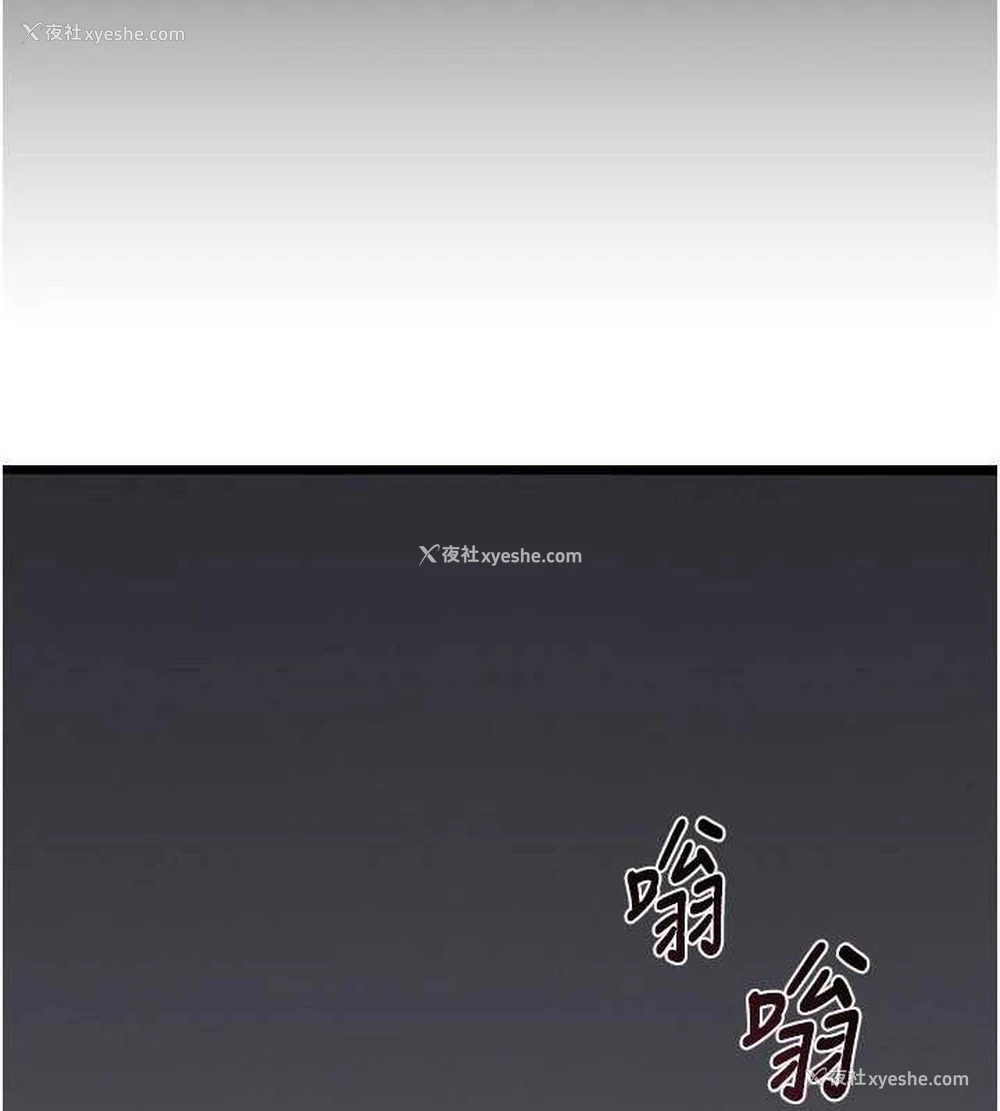 28P - 熟女计划书