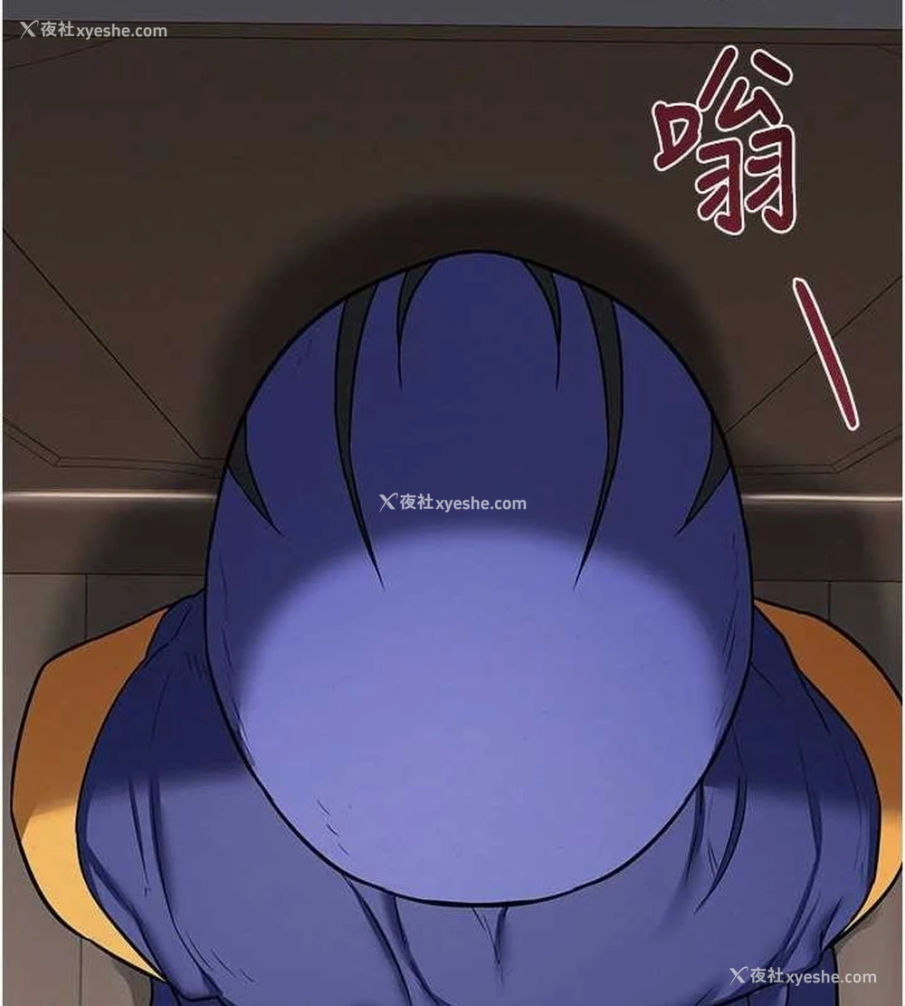 29P - 熟女计划书