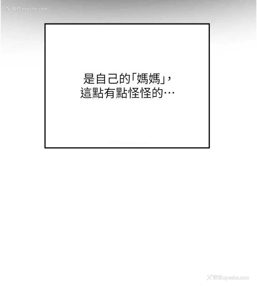 40P - 熟女计划书
