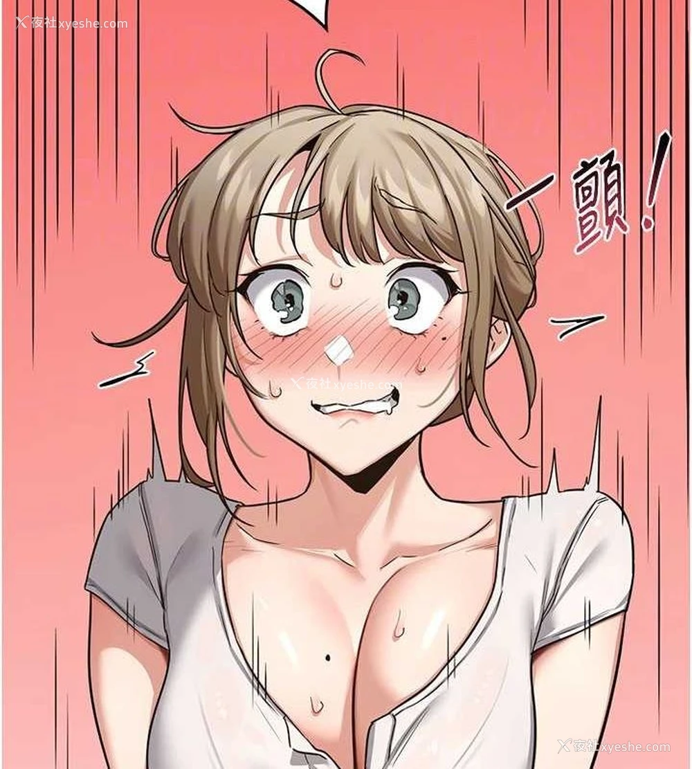 132P - 熟女计划书