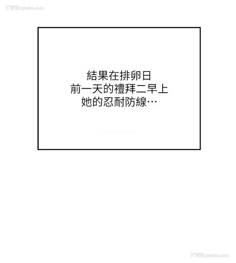 196P - 熟女计划书