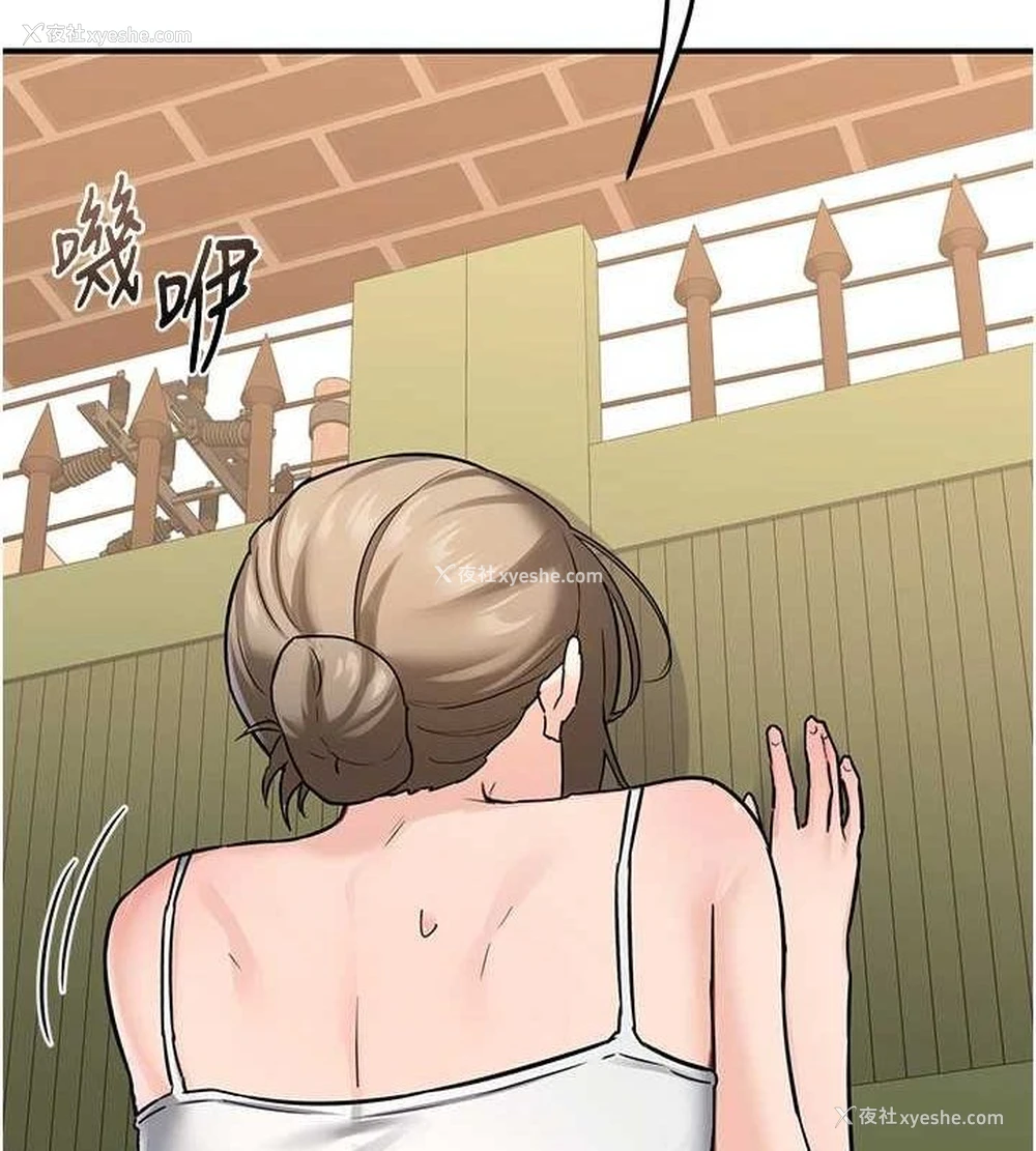 41P - 熟女计划书