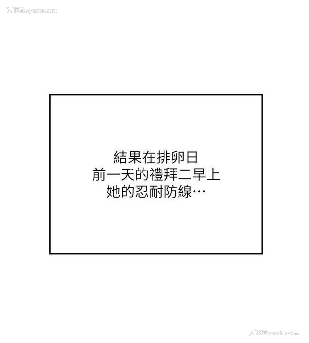 5P - 熟女计划书